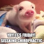 YAY! IT'S FRIDAY!! | YAY! IT'S FRIDAY! SISSKIND CHIROPRACTIC | image tagged in yay it's friday | made w/ Imgflip meme maker