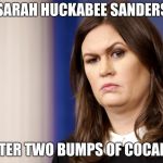 Sarah Sanders | SARAH HUCKABEE SANDERS; AFTER TWO BUMPS OF COCAINE | image tagged in sarah sanders | made w/ Imgflip meme maker