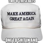 And then mail it to 45. Make Asshole Go Away! | I JUST ORDERED TWO OF THESE HATS; ONE TO SHIT IN AND ONE TO COVER IT UP | image tagged in trump hat,memes,political meme,dump trump,treason | made w/ Imgflip meme maker