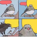 Crow talks over bird meme