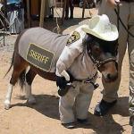 Pony-Sheriff