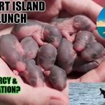 unconditional love | DESERT ISLAND LUNCH; OR MERCY & STARVATION? | image tagged in unconditional love | made w/ Imgflip meme maker