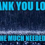 Raining | THANK YOU LORD; FOR THE MUCH NEEDED RAIN | image tagged in raining | made w/ Imgflip meme maker