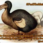 The way of the Dodo | #FeelTheMath; If the Democratic Party is incapable of working #ForTheMany, they will go the way of the Dodo. @keidekay | image tagged in dodo bird | made w/ Imgflip meme maker