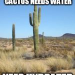 Keep Hydrated | EVEN THE TOUGHEST CACTUS NEEDS WATER; KEEP HYDRATED | image tagged in desert cactus | made w/ Imgflip meme maker