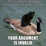 black cat riding on a goose | This is a black cat riding on the back of a goose in a lake. YOUR ARGUMENT IS INVALID. | image tagged in black cat riding on a goose | made w/ Imgflip meme maker