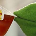 Kermit Tea Closeup