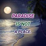 Paradise Is NOT A Place | PARADISE; IS NOT; A PLACE. | image tagged in paradise,family,true love,happiness,meme,so true memes | made w/ Imgflip meme maker