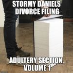 thick book | STORMY DANIELS DIVORCE FILING; ADULTERY SECTION, VOLUME 1 | image tagged in thick book | made w/ Imgflip meme maker