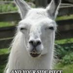 llama side eye | WHEN YOUR MAIN PIECE BECOMES YOU SIDE PIECE; AND YOUR SIDE PIECE BECOMES YOUR MAIN PIECE | image tagged in llama side eye | made w/ Imgflip meme maker