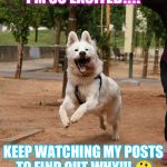 Overly excited dog | I'M SO EXCITED!!!! KEEP WATCHING MY POSTS TO FIND OUT WHY!!! 🤔 | image tagged in overly excited dog | made w/ Imgflip meme maker
