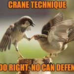 I miss Mr. Miyagi | CRANE TECHNIQUE; IF DO RIGHT, NO CAN DEFENSE | image tagged in birds shut up,memes,crane technique,crane kick,karate kid,mr miyagi | made w/ Imgflip meme maker