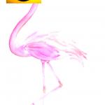 Roblox Flamingo