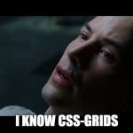 neo matrix I know | I KNOW CSS-GRIDS | image tagged in neo matrix i know | made w/ Imgflip meme maker