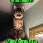 Plottingcat | WHO DO YOU TRUST MORE? YOUR GOVERNMENT OR YOUR CAT? | image tagged in plottingcat | made w/ Imgflip meme maker