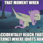 flutterhoofbat | THAT MOMENT WHEN; YOU ACCIDENTALLY REACH THAT PART OF INTERNET WHERE IDIOTS HANG OUT | image tagged in flutterhoofbat | made w/ Imgflip meme maker