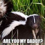 skunk | ARE YOU MY DADDY? | image tagged in skunk | made w/ Imgflip meme maker