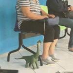 DinoPet
