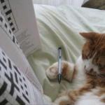 Cat Crossword