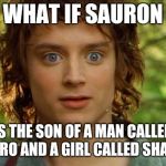 Surpised Frodo | WHAT IF SAURON IS THE SON OF A MAN CALLED SAURO AND A GIRL CALLED SHARON | image tagged in memes,surpised frodo | made w/ Imgflip meme maker
