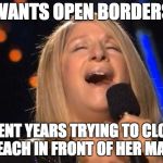 Someone almost killed her when she was lying on the beach. They thought her nose was a 2 car garage. | WANTS OPEN BORDERS; SPENT YEARS TRYING TO CLOSE THE BEACH IN FRONT OF HER MANSION | image tagged in barbara streisand | made w/ Imgflip meme maker