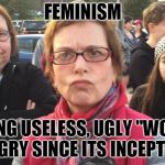 TRIGGERED FEMINIST | FEMINISM; MAKING USELESS, UGLY "WOMEN" ANGRY SINCE ITS INCEPTION | image tagged in triggered feminist | made w/ Imgflip meme maker