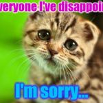 I'm a disappointment | To everyone I've disappointed, I'm sorry... | image tagged in sorry cat,cats,disapointing | made w/ Imgflip meme maker