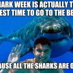 shark | SHARK WEEK IS ACTUALLY THE SAFEST TIME TO GO TO THE BEACH; BECAUSE ALL THE SHARKS ARE ON TV | image tagged in shark | made w/ Imgflip meme maker