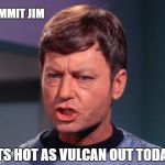 mccoy | DAMMIT JIM; ITS HOT AS VULCAN OUT TODAY! | image tagged in mccoy | made w/ Imgflip meme maker