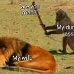 Never a good idea | "are you mad?"; My dumb ass; My wife | image tagged in bad idea,memes,funny,marriage | made w/ Imgflip meme maker