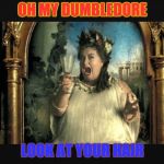 hair | OH MY DUMBLEDORE; LOOK AT YOUR HAIR | image tagged in harry potter opera portrait | made w/ Imgflip meme maker