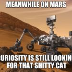 curiosity rover | MEANWHILE ON MARS; CURIOSITY IS STILL LOOKING FOR THAT SHITTY CAT | image tagged in curiosity rover | made w/ Imgflip meme maker