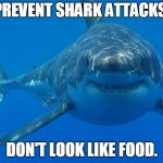 great white shark  | PREVENT SHARK ATTACKS: DON'T LOOK LIKE FOOD. | image tagged in great white shark | made w/ Imgflip meme maker