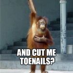 Monkey Raising Hand | ANYONE WANNA COOCHY COO MY 'PIT? AND CUT ME TOENAILS? | image tagged in monkey raising hand | made w/ Imgflip meme maker