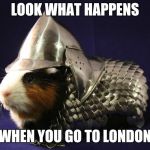 Guinea Pig | LOOK WHAT HAPPENS; WHEN YOU GO TO LONDON | image tagged in guinea pig | made w/ Imgflip meme maker