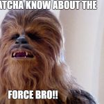 Chewbacca | AY, WHATCHA KNOW ABOUT THE; FORCE BRO!! | image tagged in chewbacca | made w/ Imgflip meme maker