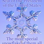 Special snowflake | Seal of the President of the United States; The most special snowflake of them all. | image tagged in special snowflake | made w/ Imgflip meme maker