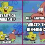 Spongebob Texas | UHH... HAWAIIAN? HEY PATRICK. WHAT AM I? WHAT'S THE DIFFERENCE? NO... I'M SAMOAN | image tagged in spongebob texas | made w/ Imgflip meme maker