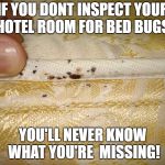 Bed Bug Hotel Room | IF YOU DONT INSPECT YOUR HOTEL ROOM FOR BED BUGS, YOU'LL NEVER KNOW WHAT YOU'RE  MISSING! | image tagged in bed bug mattress inspection,hotel room,bed bugs,travel,disgusting | made w/ Imgflip meme maker