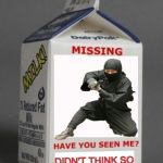 Missing Ninja | DIDN'T THINK SO | image tagged in ninja,milk carton | made w/ Imgflip meme maker