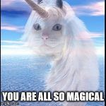 Unicorn cat | YOU ARE ALL SO MAGICAL | image tagged in unicorn cat | made w/ Imgflip meme maker