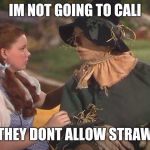 Dorothy and scarecrow | IM NOT GOING TO CALI; THEY DONT ALLOW STRAW | image tagged in dorothy and scarecrow | made w/ Imgflip meme maker