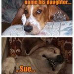 What’s in a name... | What did the lawyer name his daughter.... ...Sue... | image tagged in basset humor,lawyer,lawyer jokes | made w/ Imgflip meme maker