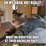 Bad Cat Joke | HEY CAT, WANNA HEAR A JOKE? OH MY GOSH, NOT REALLY; WHAT DO ROOSTERS HAVE AT THEIR BACHELOR PARTY? A CHICKEN STRIP! | image tagged in bad cat joke | made w/ Imgflip meme maker
