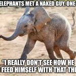 Elephant baby | TWO ELEPHANTS MET A NAKED GUY. ONE SAID:; “I REALLY DON’T SEE HOW HE CAN FEED HIMSELF WITH THAT THING!” | image tagged in elephant baby | made w/ Imgflip meme maker
