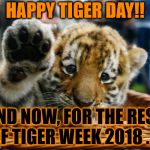 Happy Tiger Day :D | HAPPY TIGER DAY!! AND NOW, FOR THE REST OF TIGER WEEK 2018 . . . | image tagged in memes,tiger week,tiger week 2018,tiger day,happy,tigerlegend1046 | made w/ Imgflip meme maker