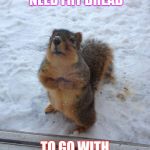 squirrel begging | PLEASE SIR I NEED FRY BREAD; TO GO WITH HANGOVER SOUP | image tagged in squirrel begging | made w/ Imgflip meme maker