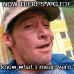 good looking babes,vern hey vern | NOW THERE'S A CUTIE, 'know what I mean vern.' | image tagged in earnest p worrell,cuties,vern | made w/ Imgflip meme maker