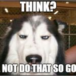 Dubious Husky | THINK? ME NOT DO THAT SO GOOD | image tagged in dubious husky | made w/ Imgflip meme maker