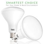 BR30 LED Bulb